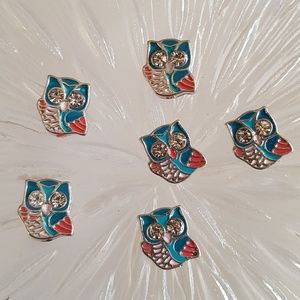 𝅺Owl Floating Charm for Picture Locket